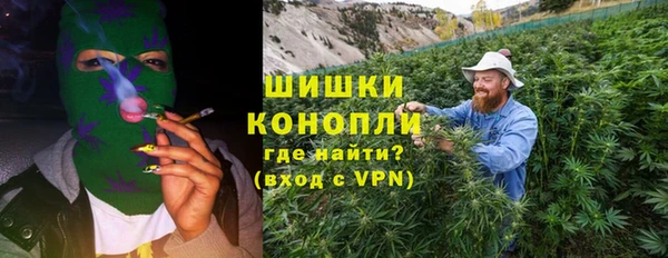дурь Карпинск