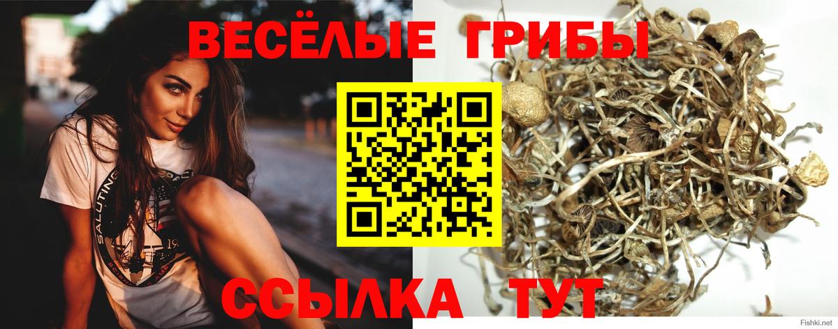 Галлюциногенные грибы мицелий  где продают   Томск  Вход с VPN 