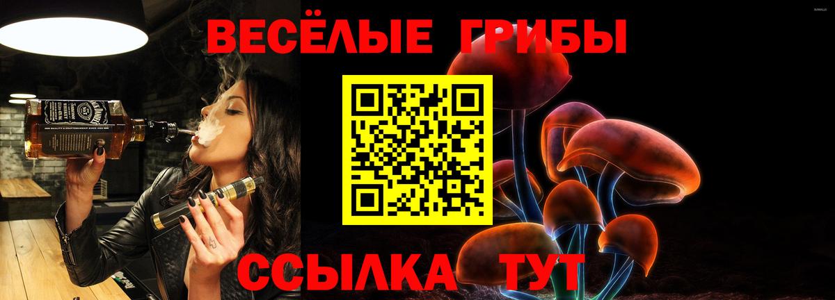 Псилоцибиновые грибы Cubensis Томск