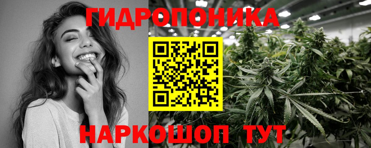 Томск  Марихуана план  Конопля Amnesia  Вход с VPN  МАРИХУАНА White Widow 